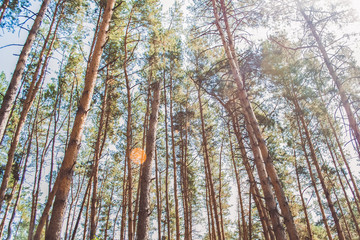  City Park. Reserve. Summer Park. Fountain. Alcove.