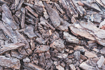Piles of wood chips, background, texture