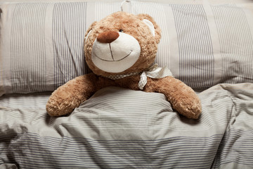 Brown teddy bear laying in bed, furry doll. Sweet sleep.