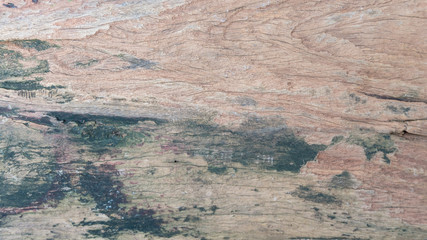 wood plank sheet texture on top view