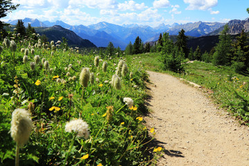 The Sunshine Meadow, Sunshine village, Banff, The Banff national park