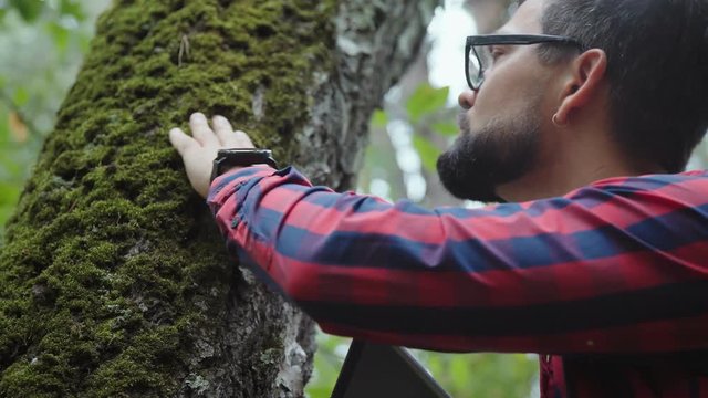 Botanist studies the flora and looks at the moss on the tree. A modern ecologist in glasses takes samples of moss from a tree. The traveler looks at the tree and touches the trunk with thick moss.