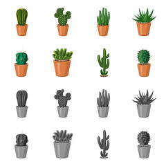 Vector design of cactus and pot sign. Collection of cactus and cacti vector icon for stock.