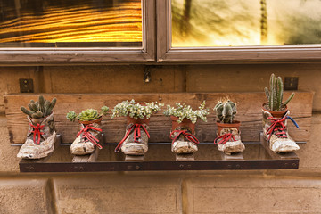 Cactus en maceteros artesanales.