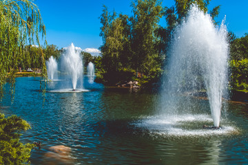  City Park. Reserve. Summer Park. Fountain. Alcove.