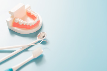 Dental model in oral health care concept.