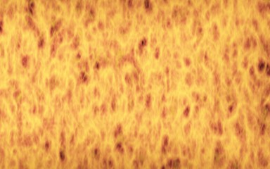 Abstract Fire Background with Flames. Wall of Fire. Glare on the water. 3D illustration
