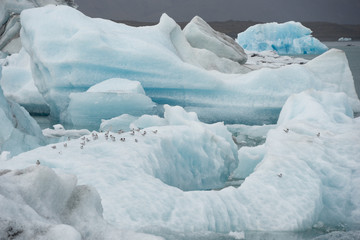 Fototapeta na wymiar Gletscherlagune Jökulsárlón am Fuß des Vatnajökull, Island