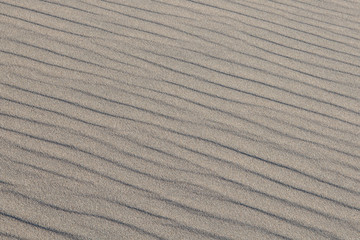 Natural wind-blown wave pattern in grainy sand at Great Sand Dunes National Park, Colorado