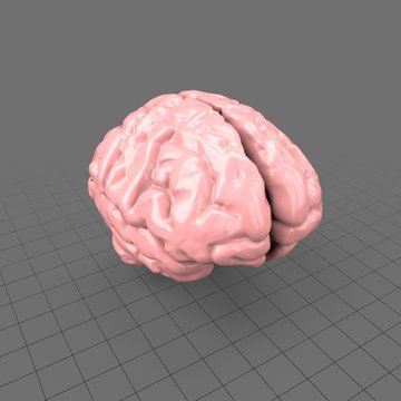 Stylized human brain