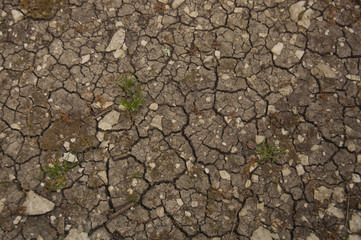 cracked soil