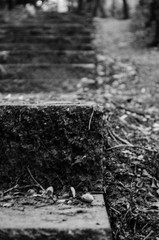 walk in the park