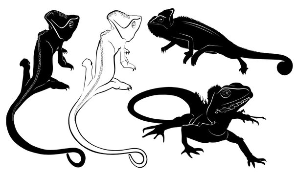 set of silhouettes of reptiles lizard, chameleon