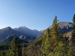Fototapeta premium Mountain Range with Trees