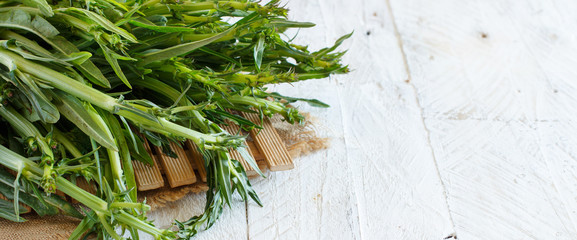 Fresh raw italian chicory, Puntarelle
