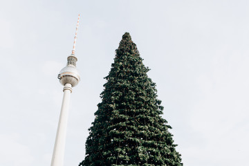 Christmas tree on Alexanderplatz in Berlin in Germany. Celebrating Christmas in Europe.