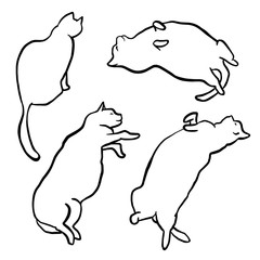 Funny hand drawn fat cats lying set