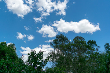 Fototapeta premium Nuvens e Super céu azul