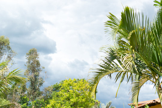 Parque e Nuvens