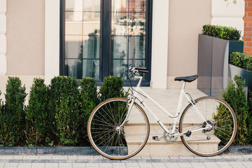 Fototapeta na wymiar Bicycle handlebar close up, Female retro bicycle on the park. 