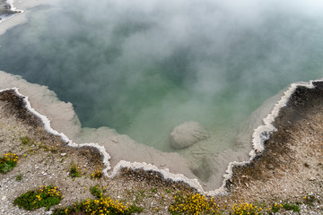 Close up photo showing texture and natural colors of a geyser thermal feature in Yellowstone National Park's West Thumb Geyser Basin