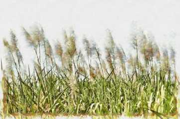 Oil painting. Art print for wall decor. Acrylic artwork. Big size poster. Watercolor drawing. Modern style fine art. Beautiful wheat fild green landscape.