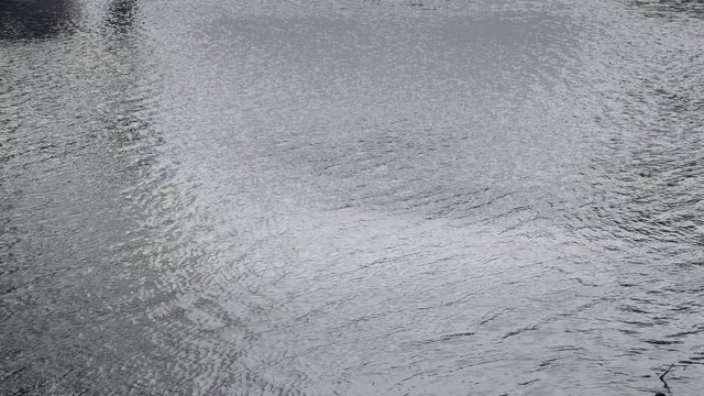 Peaceful water surface in lake with small waves. Landscape reflections on lake. Background footage, low depth of field. Static day stabilized v-log shot