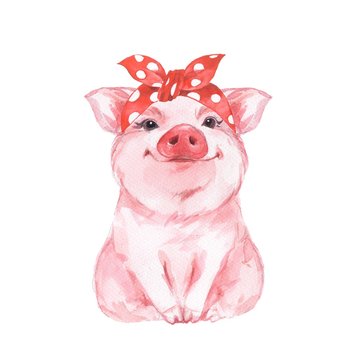 Funny pig wearing bandana. Isolated on white. Cute watercolor illustration