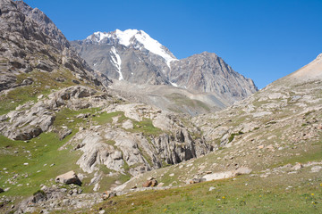 Snowy mountains with blue sky. Kyrgyzstan, Dugoba