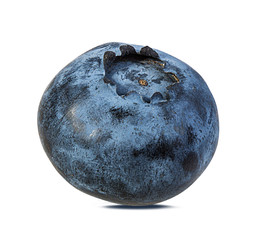 Fresh blueberry isolated on white background with clipping path