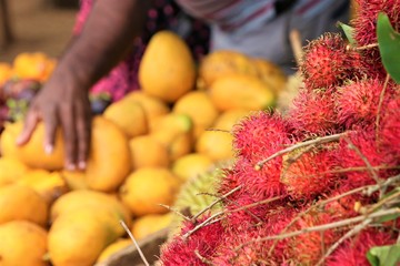 スリランカの道端の果物屋さん
