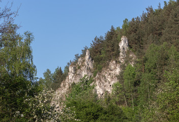 Fototapeta na wymiar rocks in the Kobylanska valley in the Krakow-Czestochowa Upland