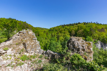 ruins of the defensive wall of the Ojców castle