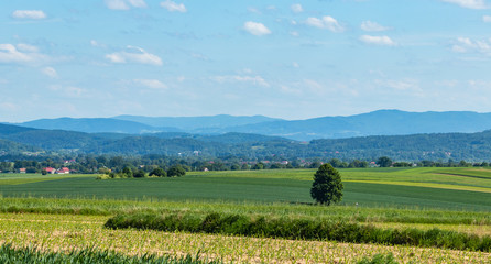 arable fields, south of Poland