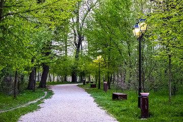 Alley in the Park