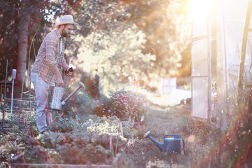 Man farmer watering a vegetable garden