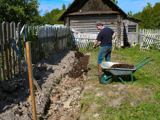Preparation of beds for planting raspberries. The compost is brought in as fertilizer. A man...
