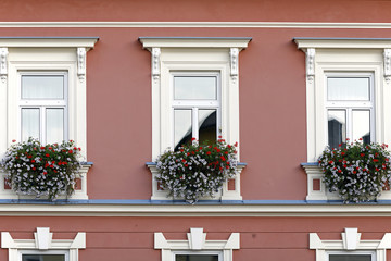 Fototapeta na wymiar Fenster eines Bürgerhauses mit Blumenschmuck
