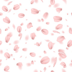 pattern of pink spring blossom petals over white background