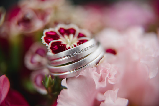 Eheringe, Ringe, Hochzeit & heiraten
