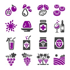 grape icon set