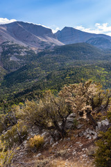 autumn in the mountains