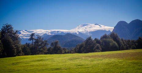 Landscape in Pumalin Natural Park Patagonia, Chile in summe