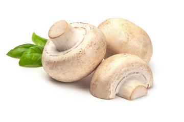 Fresh champignon mushrooms with basil leaves, close-up, isolated on white background