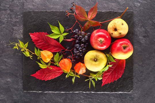 Autumn colorful Still life of apples, physalis, and leaves of grapes and grapes on a slate shale plate
