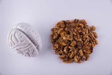 Top view on plastic human brains laying near heap of brown walnut kernels