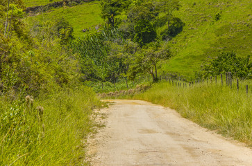 visual track of the pilot x mazomba saw in Rio de Janeiro