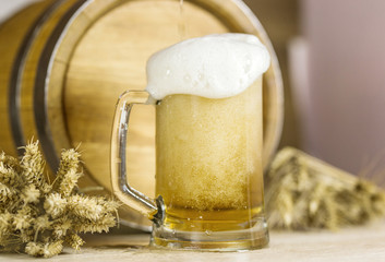 Beer is poured into mug of foam leaking against the background of a barrel of wheat.Oktoberfest