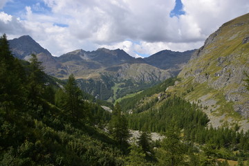 Fototapeta na wymiar Valle d'Aosta - panorama estivo valle di Gressoney
