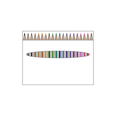 Packing of Stylish Colorful Pencil. Set of pencil on the white background.